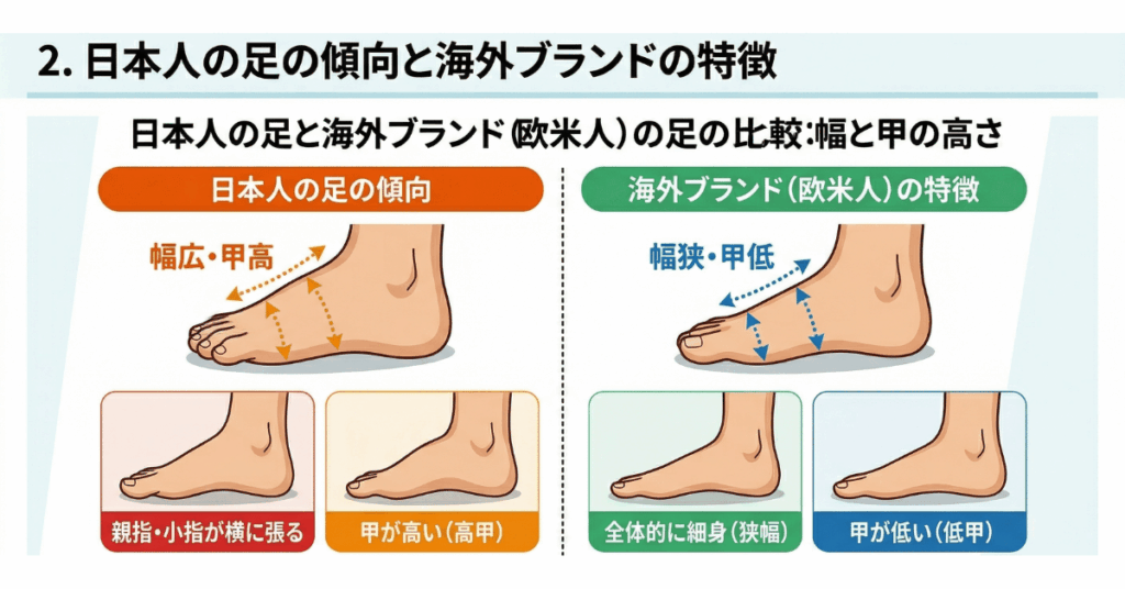 日本人の足の傾向と海外ブランドの特徴