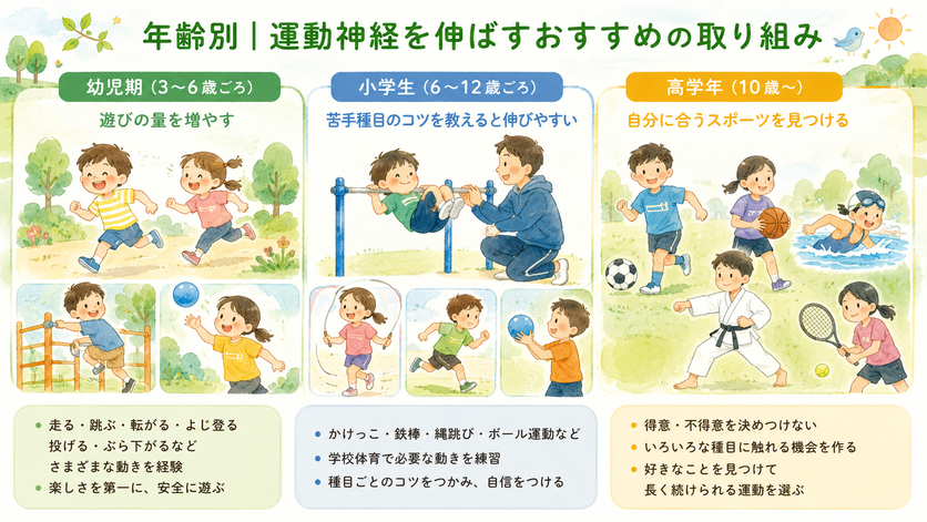 年齢別|運動神経を伸ばすおすすめの取り組み